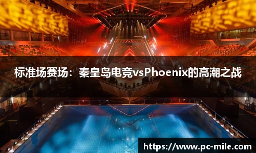 标准场赛场:秦皇岛电竞vsPhoenix的高潮之战
